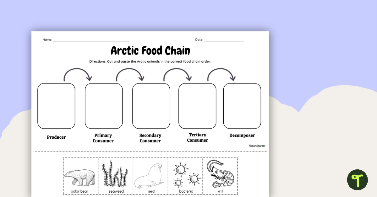 Arctic Food Chain - Cut and Paste Worksheet teaching resource