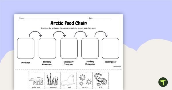 Go to Arctic Food Chain - Cut and Paste Worksheet teaching resource