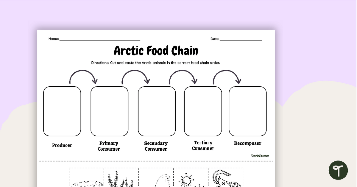 Arctic Food Chain - Cut and Paste Worksheet teaching resource
