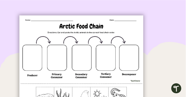 Go to Arctic Food Chain - Cut and Paste Worksheet teaching resource