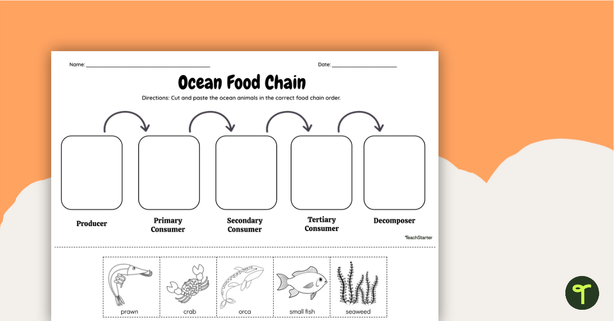Ocean Food Chain - Cut and Paste Worksheet teaching resource