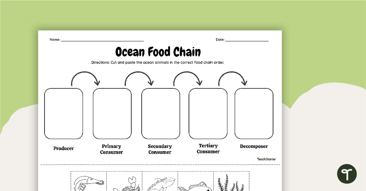 Ocean Food Chain - Cut and Paste Worksheet teaching resource