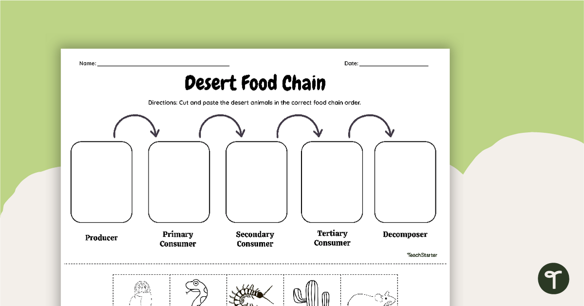 Desert Food Chain - Cut and Paste Worksheet teaching resource