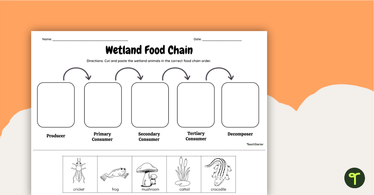 Wetlands Food Chain - Cut and Paste Worksheet teaching resource