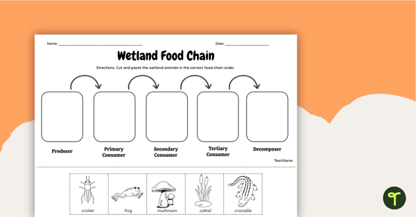 Go to Wetlands Food Chain - Cut and Paste Worksheet teaching resource