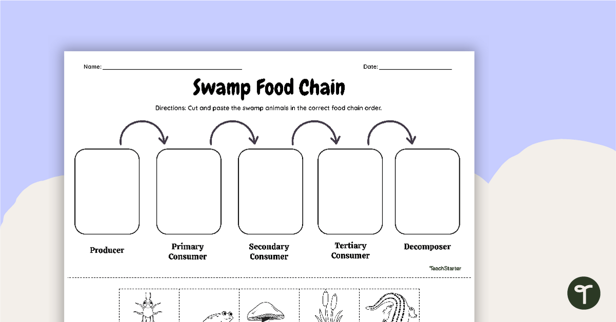 Swamp Food Chain - Cut and Paste Worksheet teaching resource
