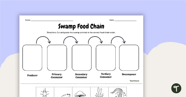 swamp animals food chain