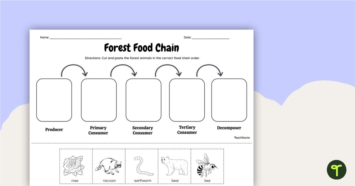 Forest Food Chain – Cut and Paste Worksheet teaching resource