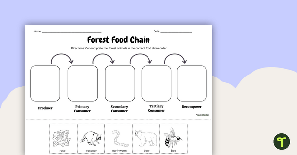 Go to Forest Food Chain – Cut and Paste Worksheet teaching resource