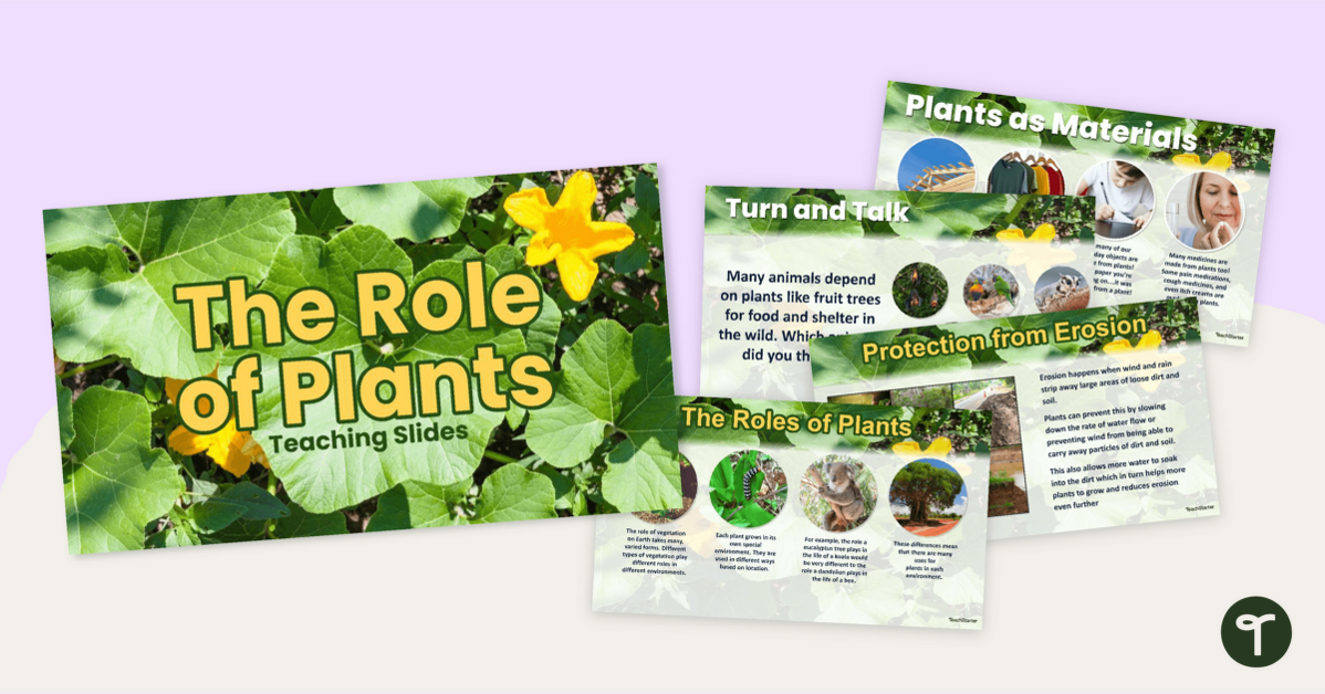 The Role of Plants - Instructional Slide Deck teaching resource