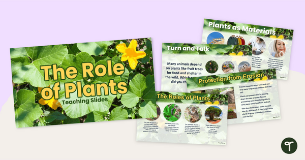 Go to The Role of Plants - Instructional Slide Deck teaching resource