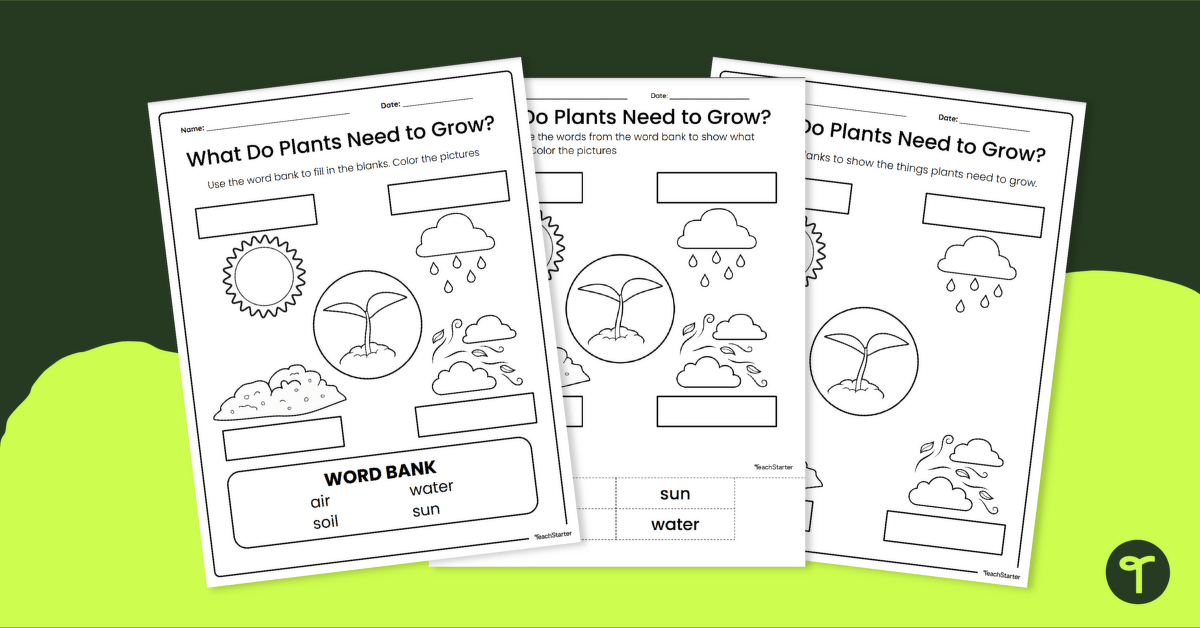 What Plants Need - Kindergarten Worksheet teaching resource
