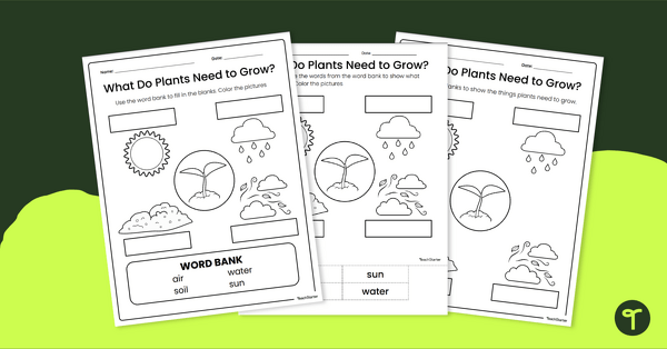 Go to What Plants Need - Year 1 Worksheet teaching resource