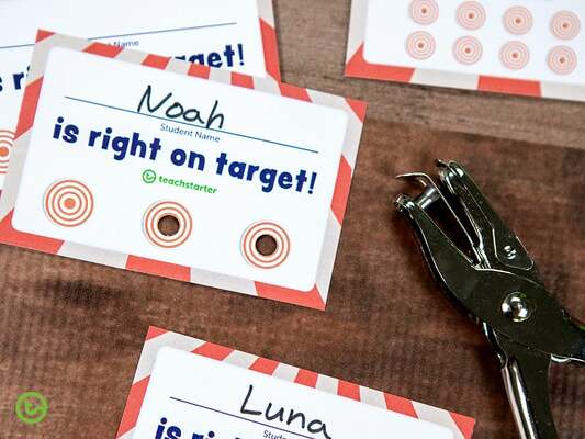 Behavior Punch Card – Right on Target! teaching resource