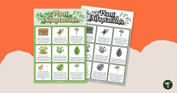 Go to Plant Adaptations- Poster teaching resource