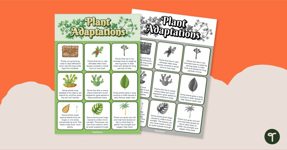 Plant Adaptations- Poster teaching resource