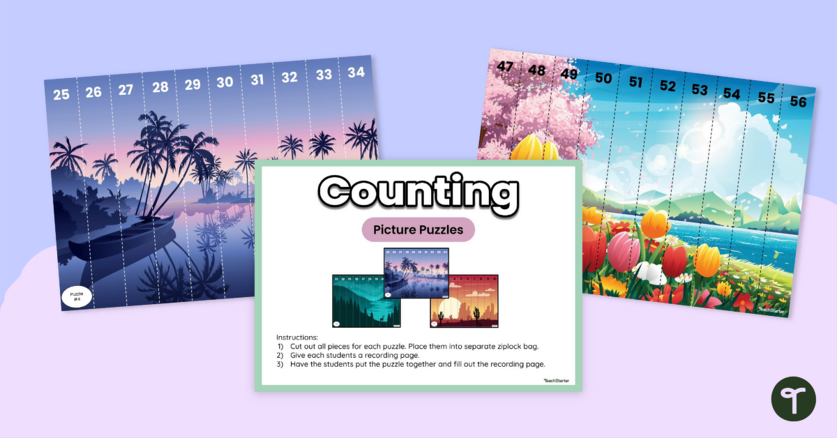 Counting by 1s Picture Puzzles teaching resource