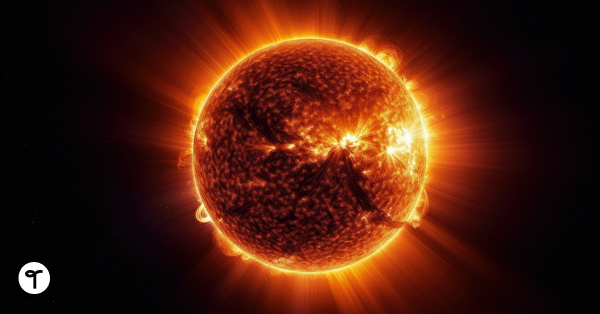 Go to 25 Interesting Facts About the Sun for Kids to Share in Your Science Classes blog