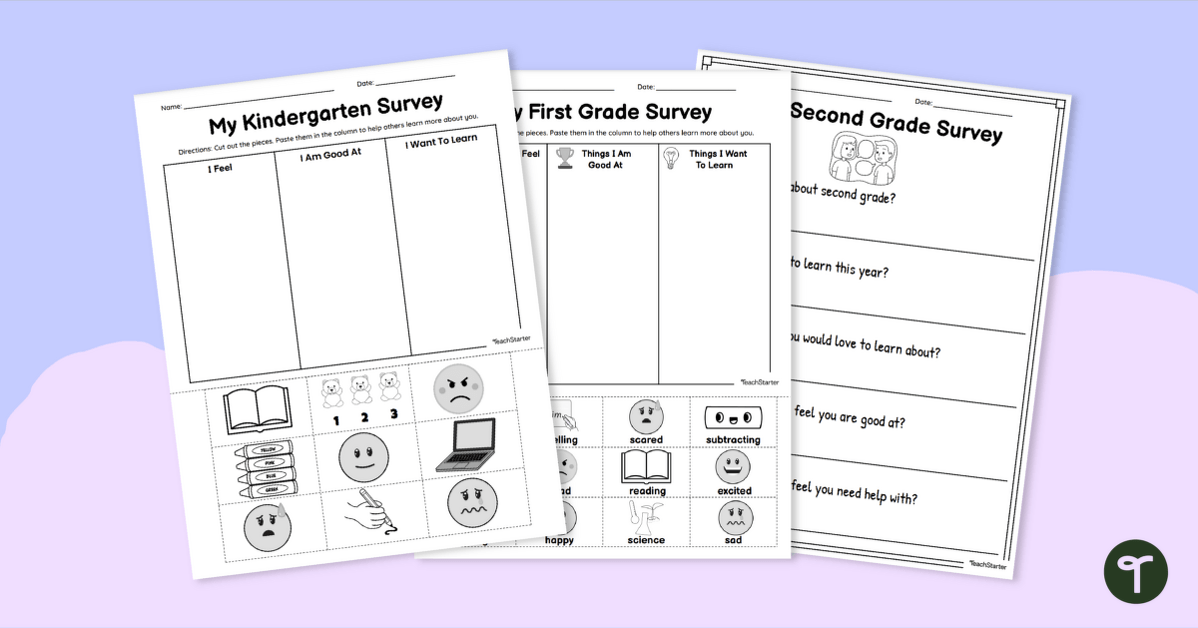 Back to School Student Survey - Primary Grades teaching resource