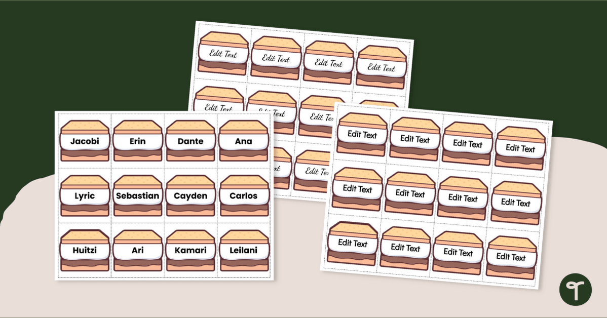Camp - Editable S'mores Labels/Nametags teaching resource