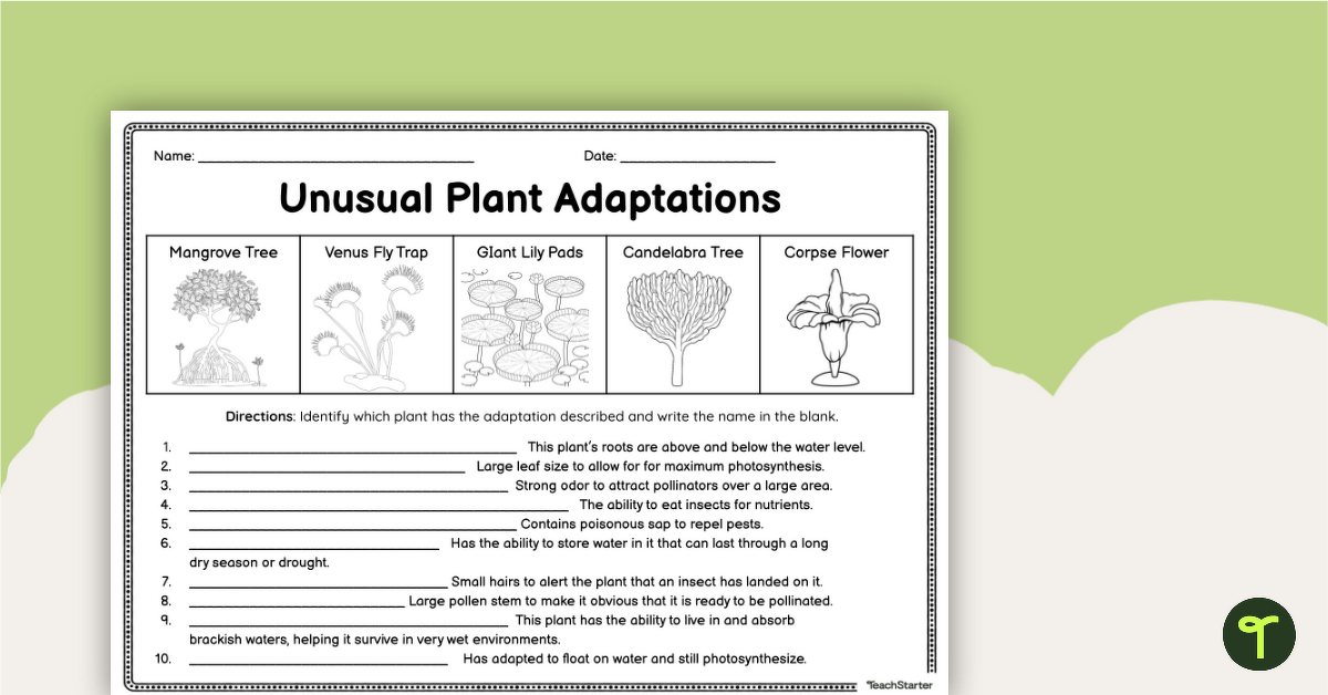 Unusual Plant Adaptations Worksheet teaching resource