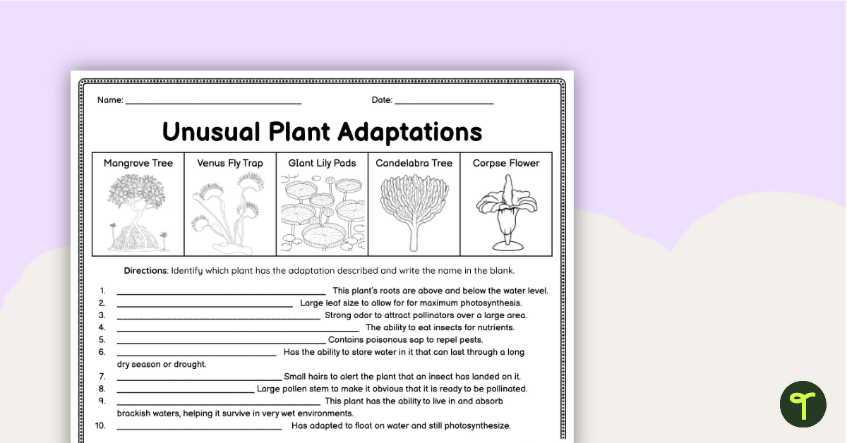 Unusual Plant Adaptations (3rd Grade Science Worksheet) teaching resource