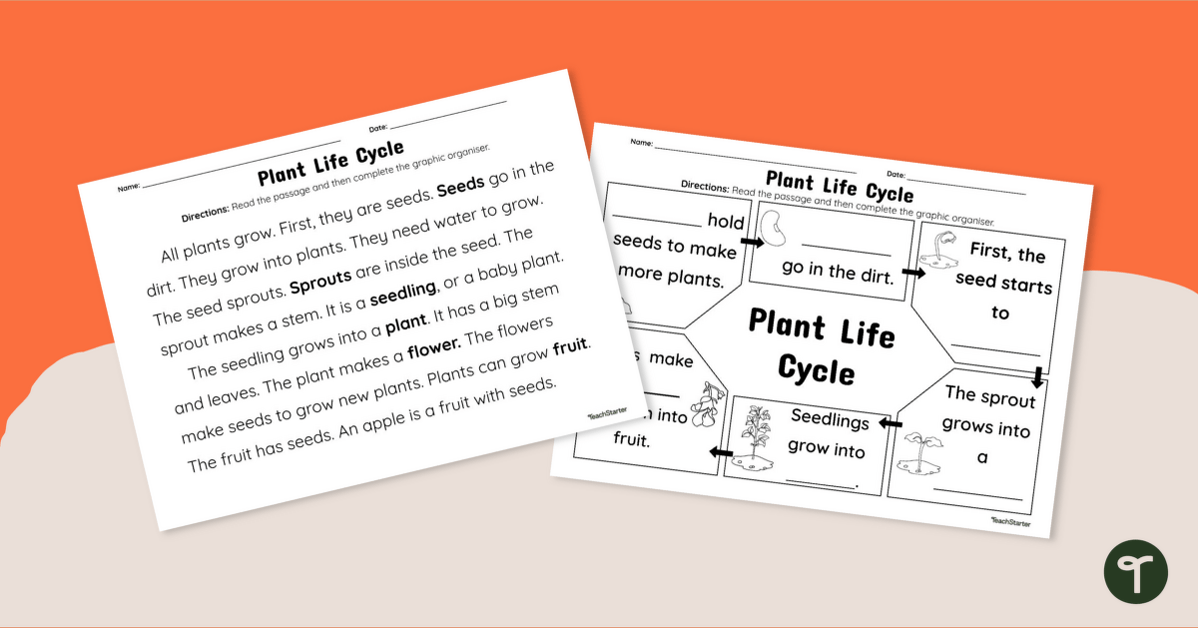 Plant Life Cycle Passage and Graphic Organizer teaching resource