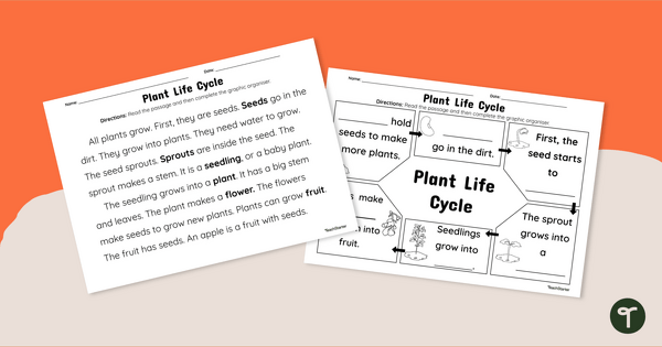 Go to Plant Life Cycle Passage and Graphic Organizer teaching resource