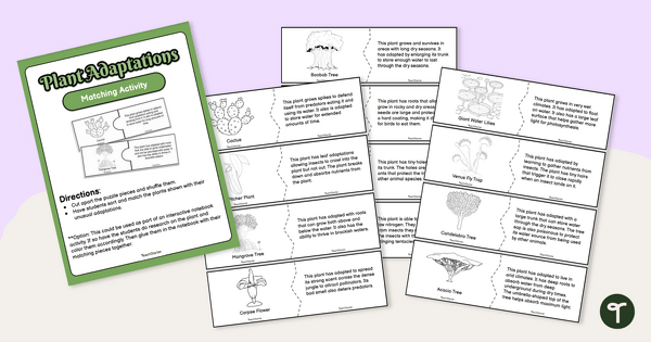 Go to Plant Adaptation Puzzles - Matching Activity teaching resource