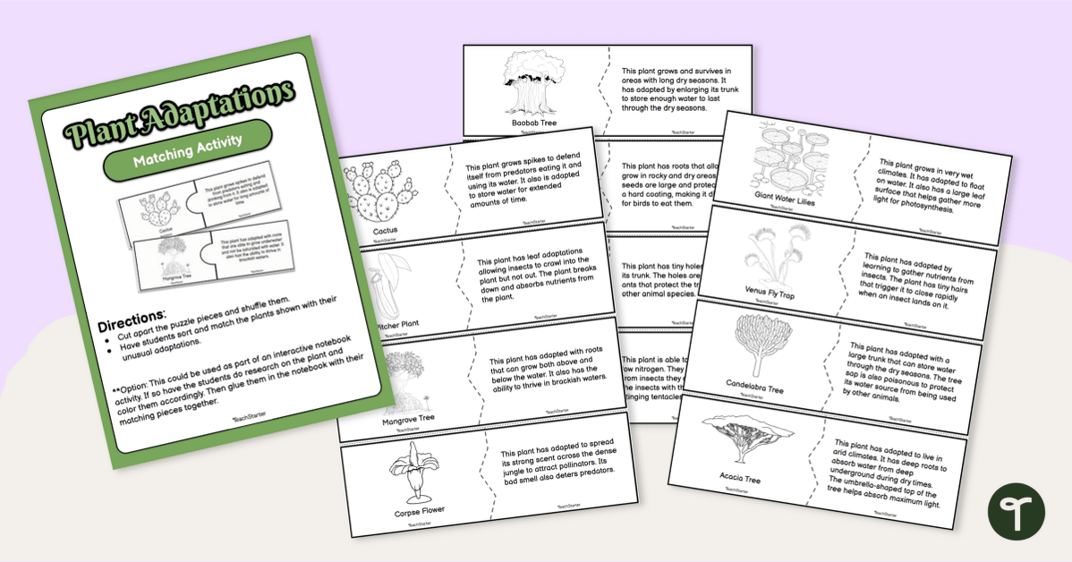 Plant Adaptation Puzzles - Matching Activity teaching resource