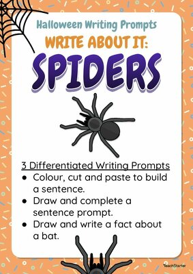 Spider Writing Worksheets - Year 1 teaching resource
