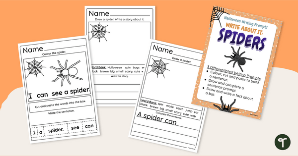 Image of Spider Writing Worksheets - Year 1