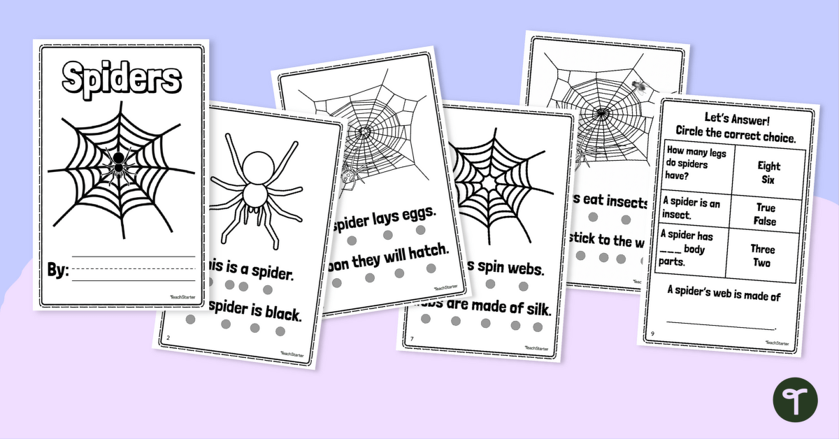 Printable Spider Book - Year 2 Informational Text teaching resource
