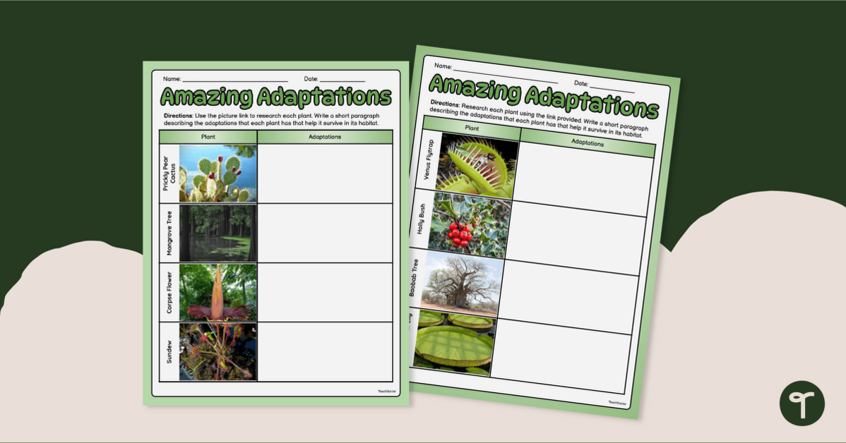 Plant Adaptations Webquest Activity teaching resource