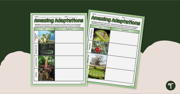 Go to Plant Adaptations Webquest Activity teaching resource
