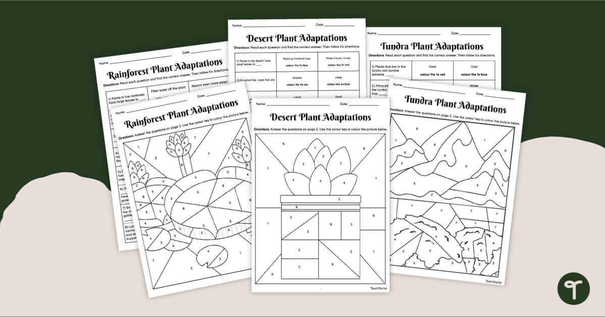 Plant Adaptations - Colour by Number Worksheets teaching resource