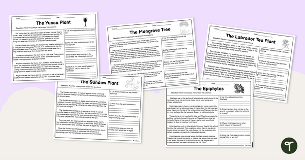 Go to Plant Adaptations - Reading Comprehension Worksheets teaching resource