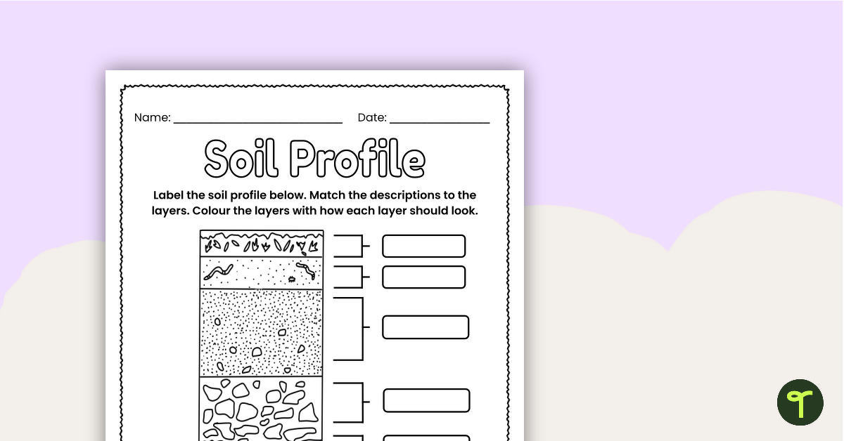 Label a Soil Profile – Worksheet teaching resource