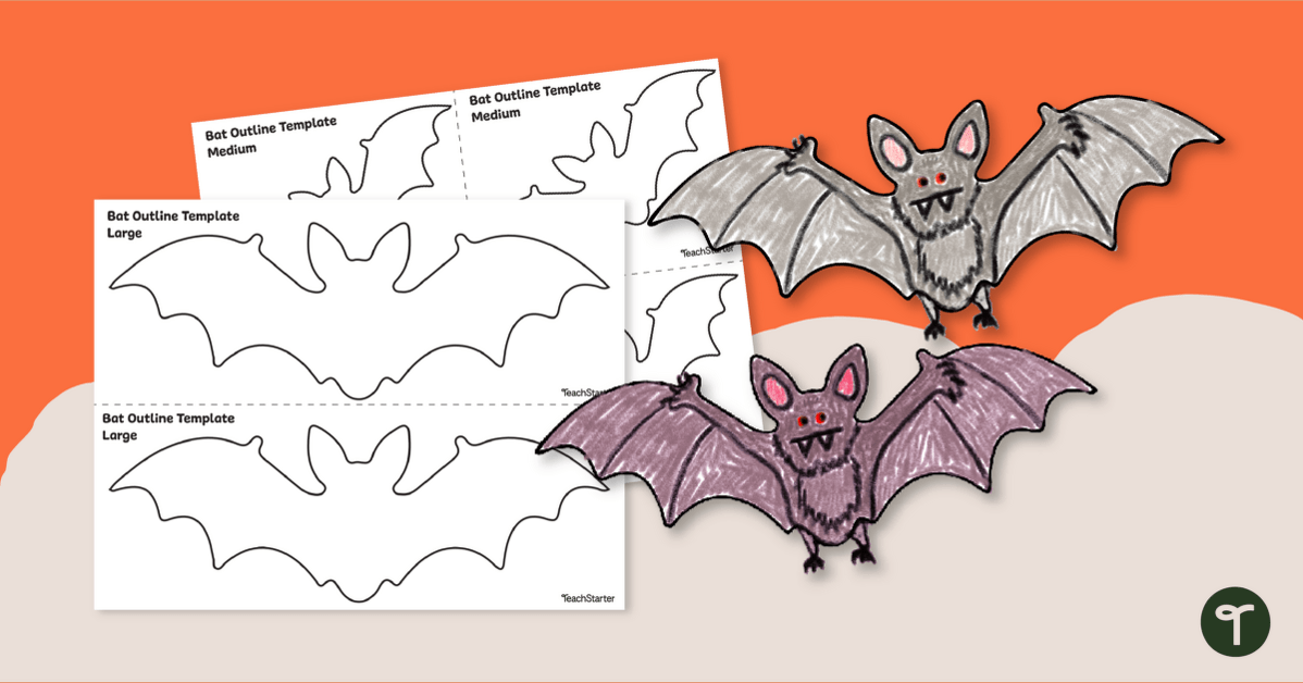 Bat Outline Template teaching resource