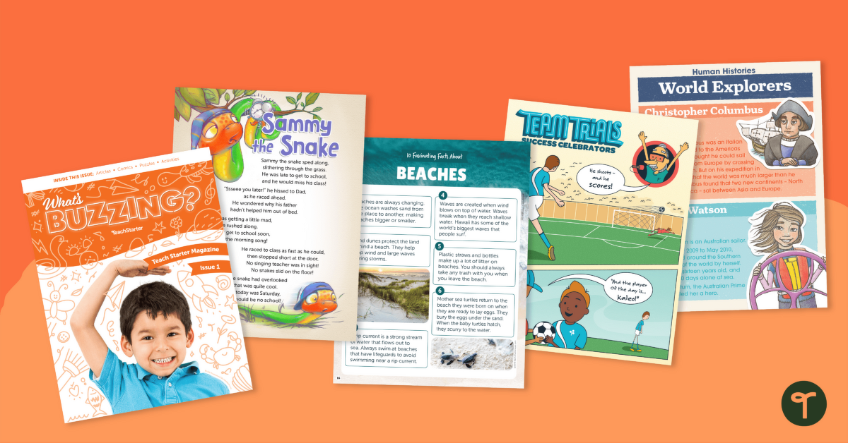 Grade 2 Magazine - What's Buzzing? (Issue 1) teaching resource
