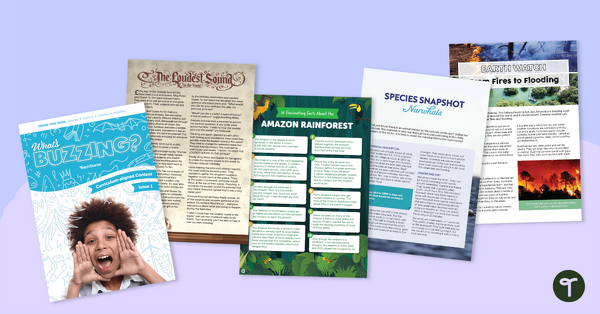 Go to Year 5 Magazine - What's Buzzing? (Issue 1) teaching resource