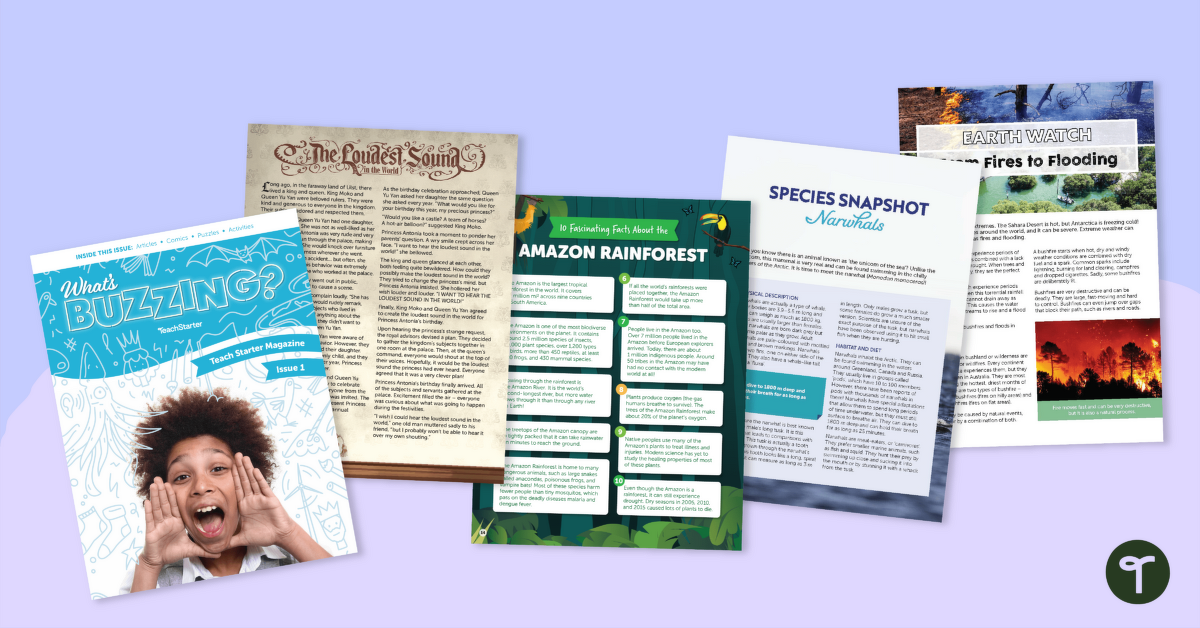Grade 5 Magazine - What's Buzzing? (Issue 1) teaching resource