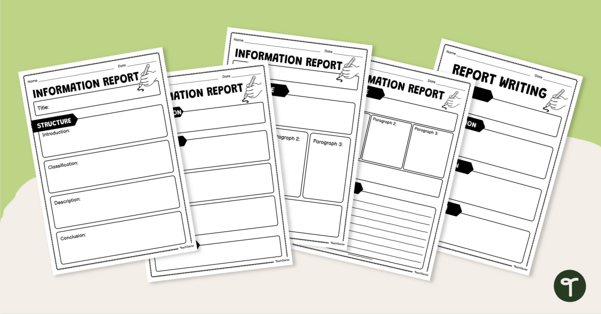 Level 6 Overview Plan - Year 2 - KS1 Primary Resources