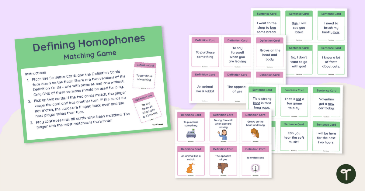 Defining Homophones Matching Game teaching resource