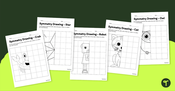 Go to Symmetry Drawing Worksheet Pack teaching resource