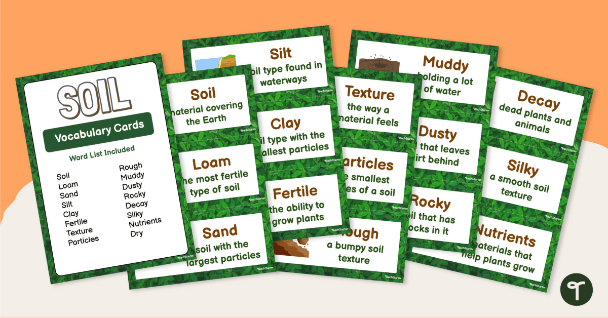 Soil Word Wall Vocabulary Cards teaching resource