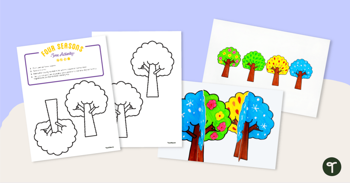 Four Seasons Tree Activity teaching resource