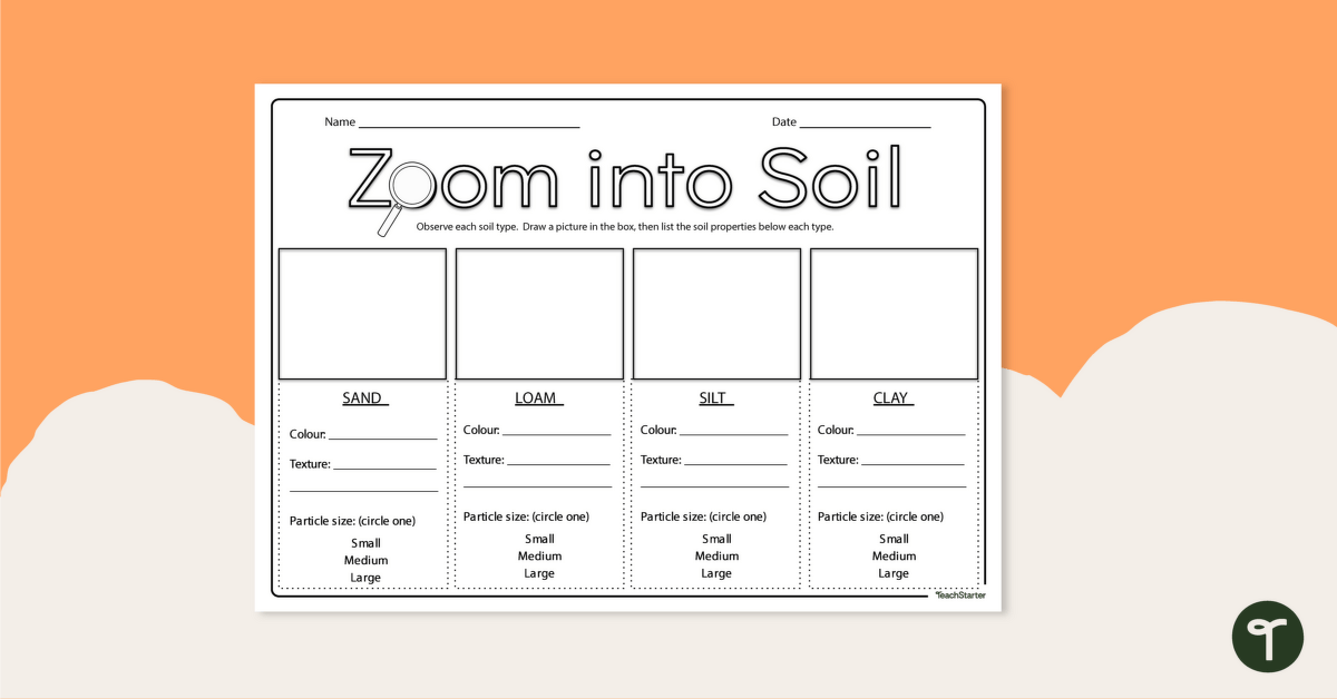 Observing Soil Worksheet teaching resource