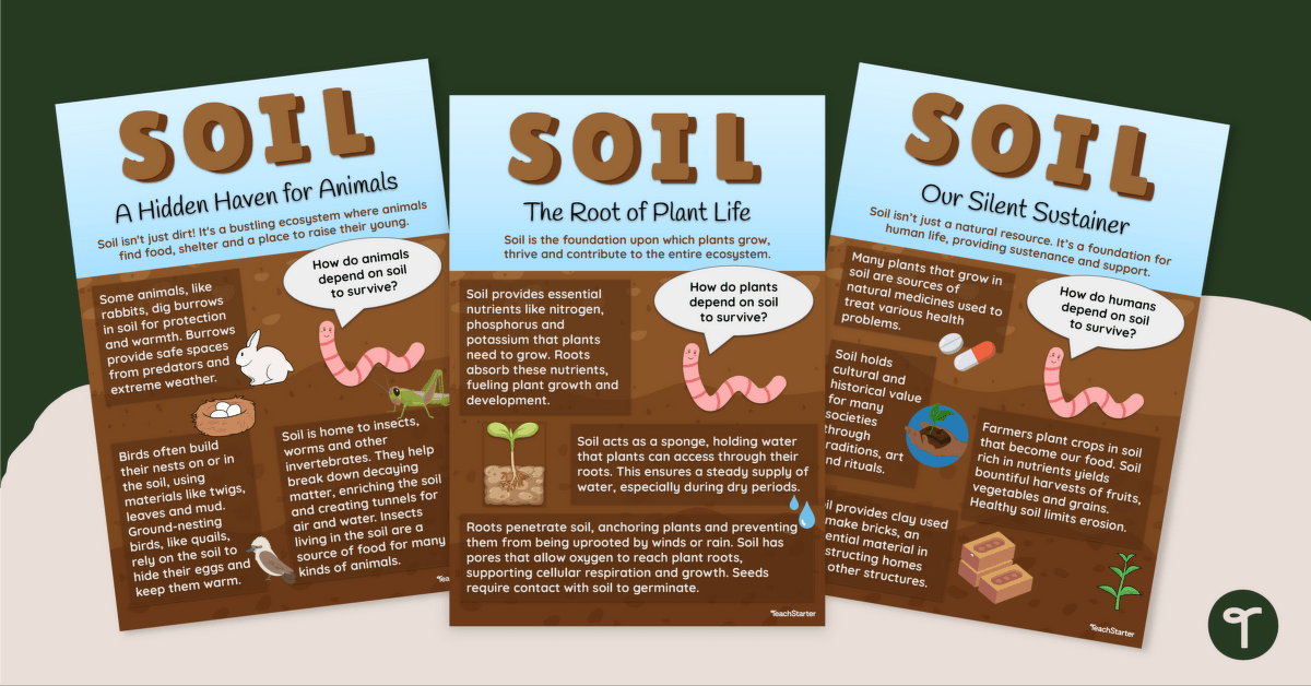 The Importance of Soil Posters teaching resource