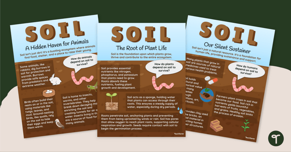 Go to The Importance of Soil Posters teaching resource